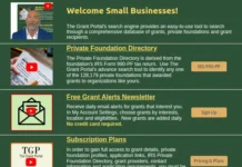 Grants for Non Profit Organizations: A Practical Guide to Sustainable Funding Grants for non profit organizations